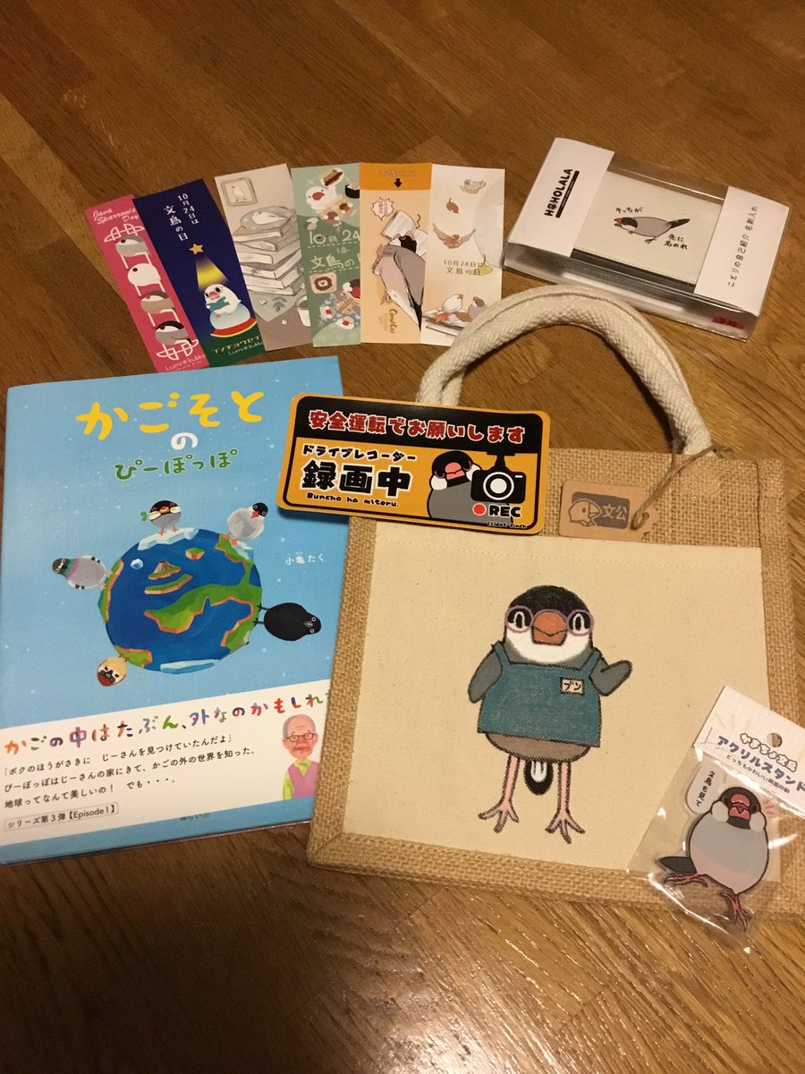 pipichon02's tweet photo. 文鳥の日を忘れていた愚か者ですが、水野書店さんで可愛い子達が待っていてくれました
#水野書店 https://t.co/6Q6ug8l4ef