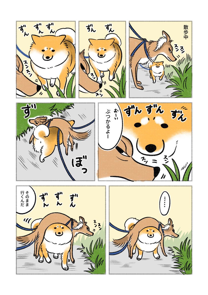 いぬいぬさん専用 Pet Select by Nihonikuji ペットセレクト(公式) ペット ゲート