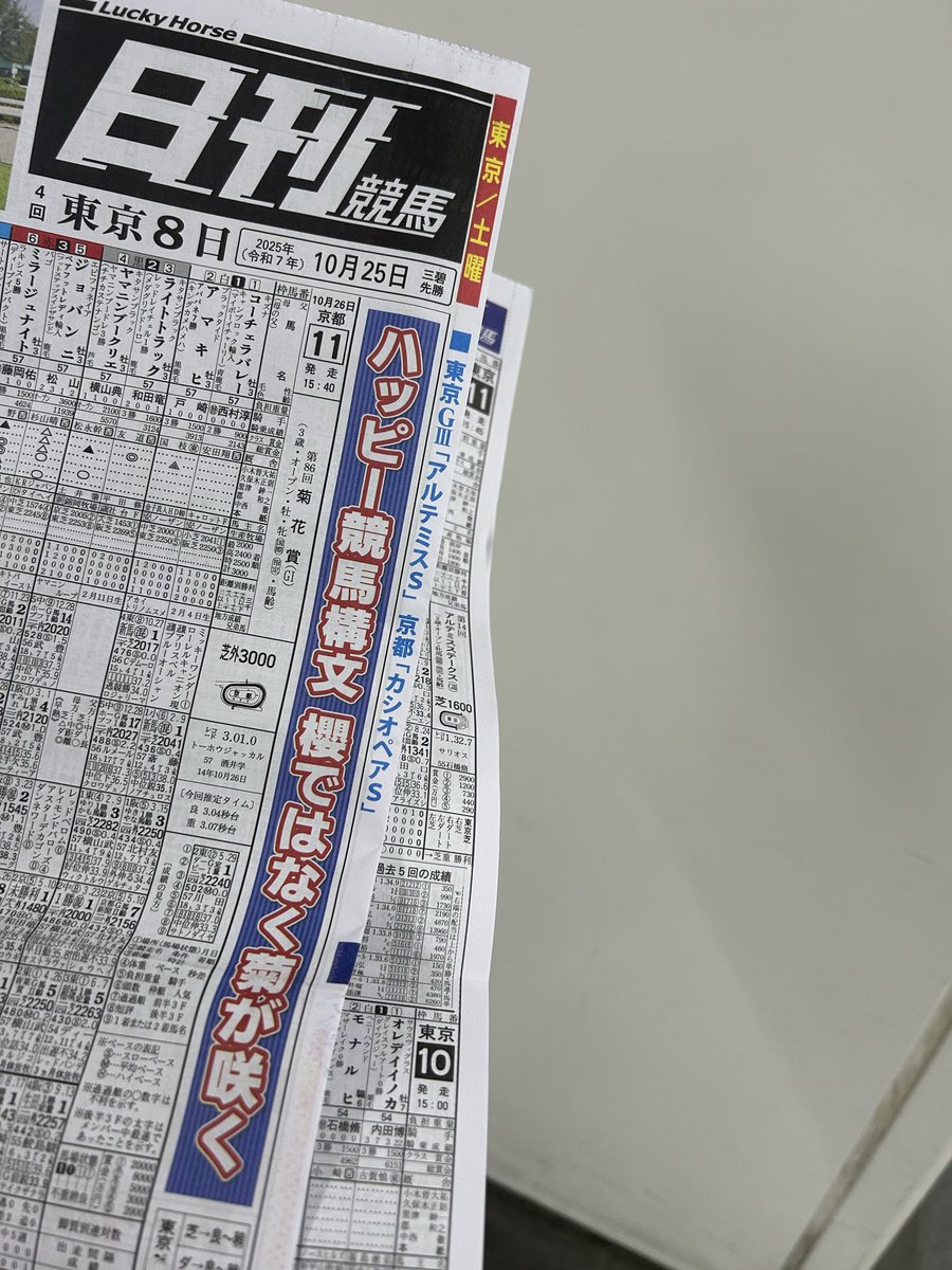 ネコパンチページ ネコパンチ on X