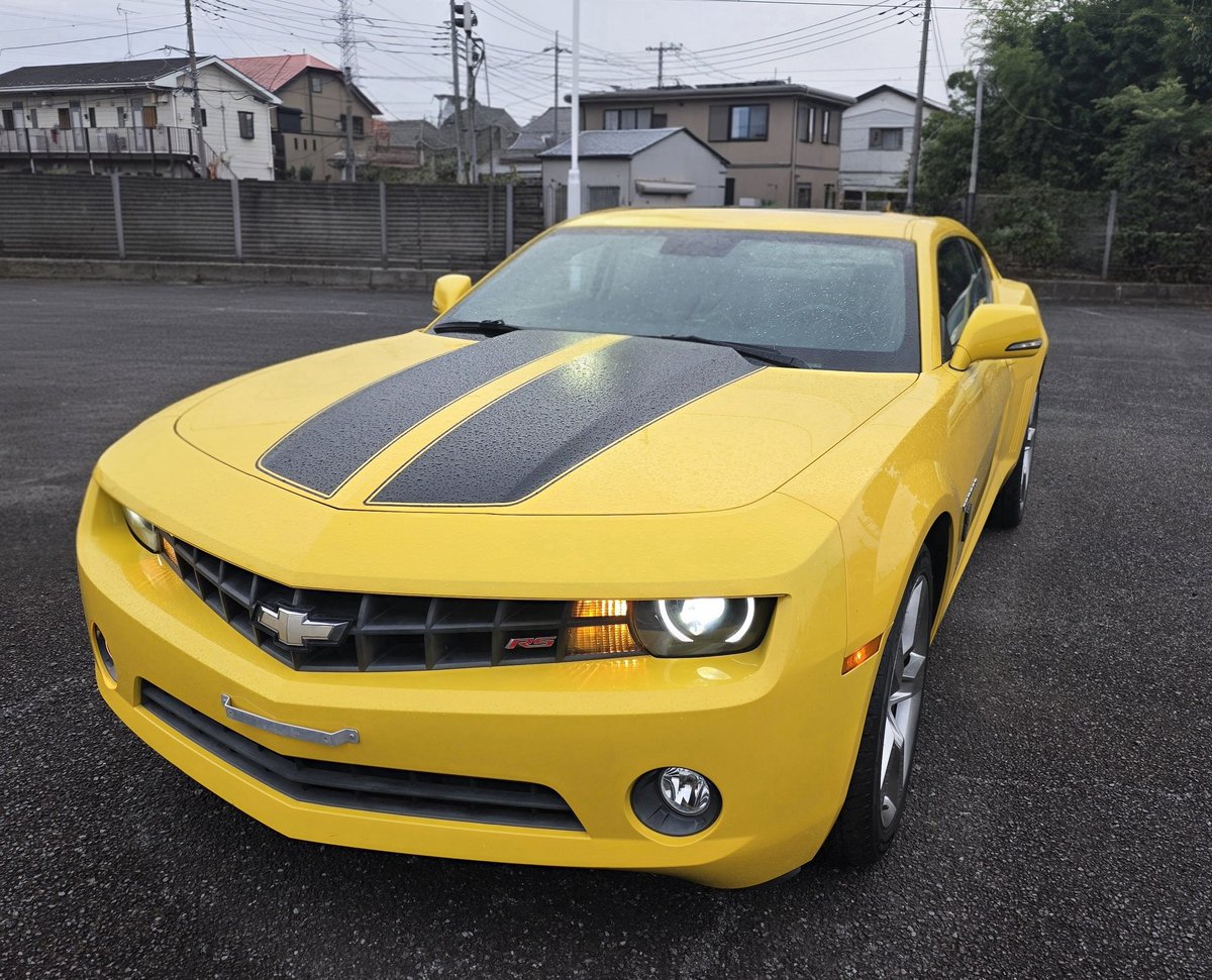 15年間ずっと欲しかった物、ついに買ってしまった…!