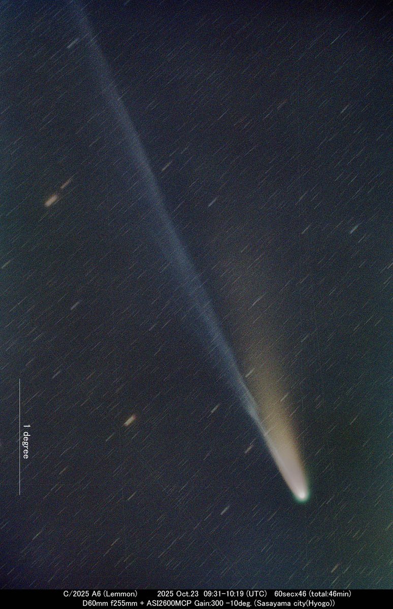 きんさん 星のきんさん on X