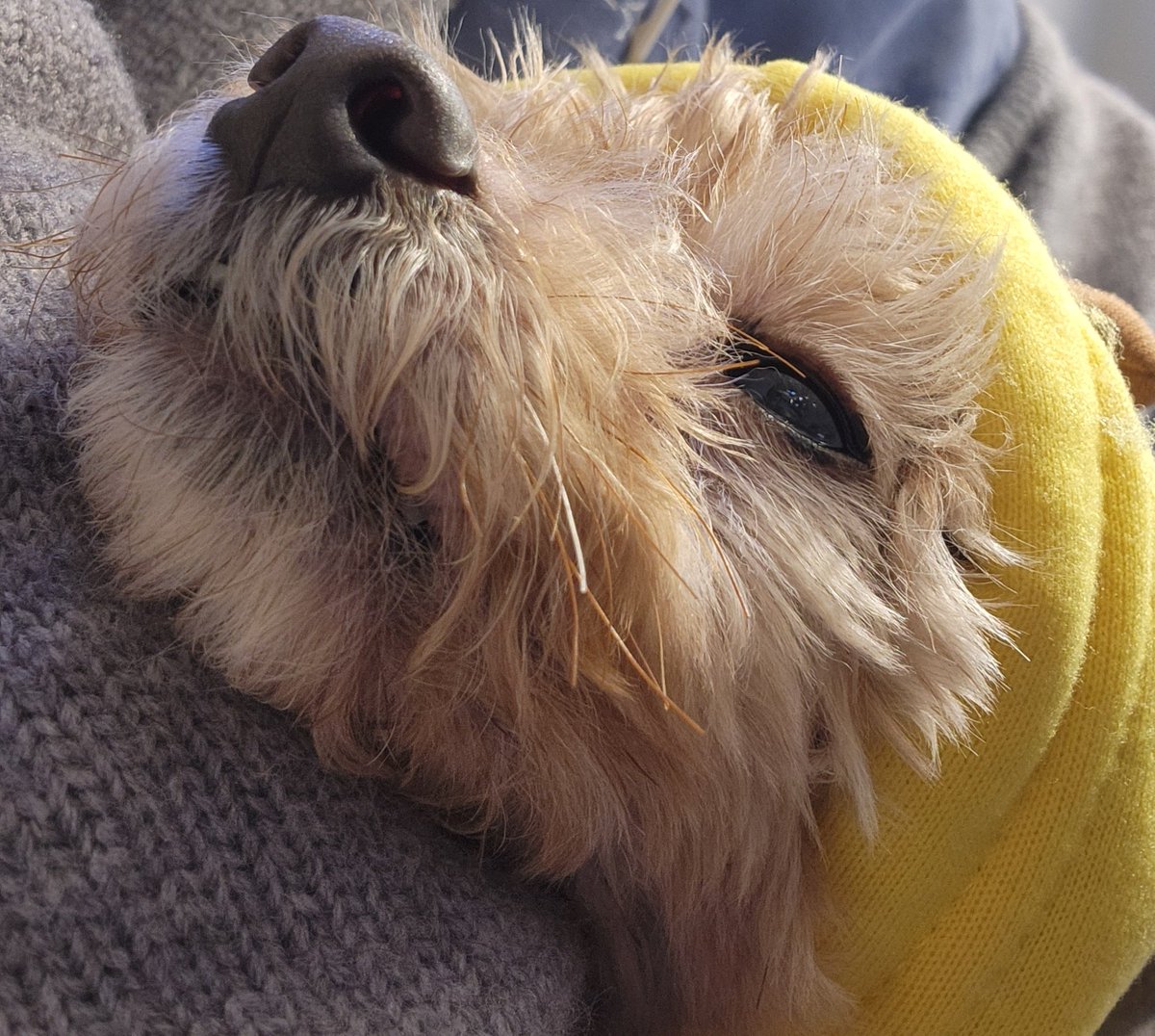 💞나로이치💞 tweet media