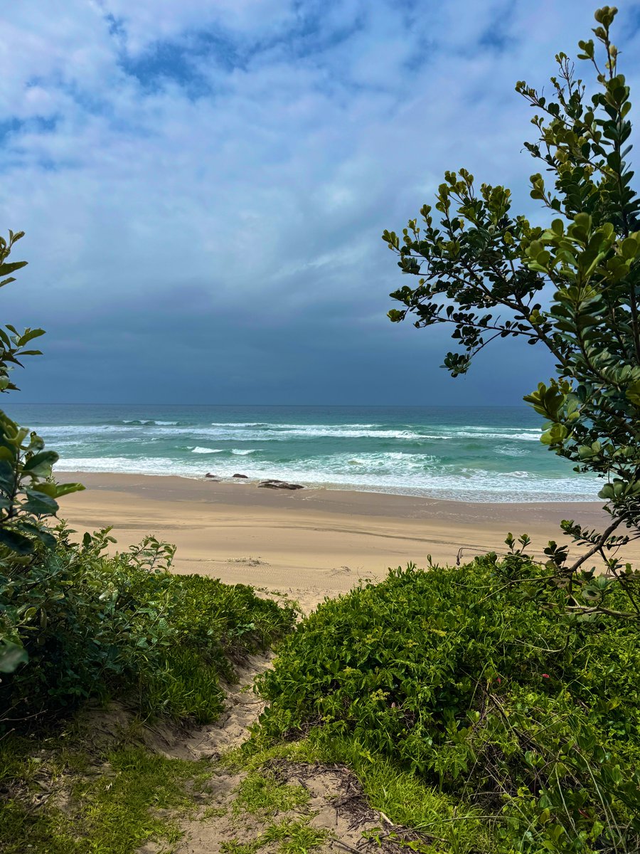 Joe Crann tweet media