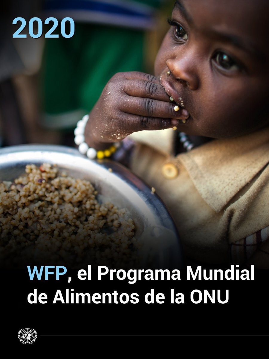 Desde hace 80 años, la ONU trabaja para prevenir conflictos, defender los derechos humanos y construir un mundo más justo.

Por su valentía y perseverancia en zonas de conflicto y en misiones humanitarias, agencias y colaboradores de la ONU han sido premiados con el <a href="/NobelPrize/">The Nobel Prize</a>.