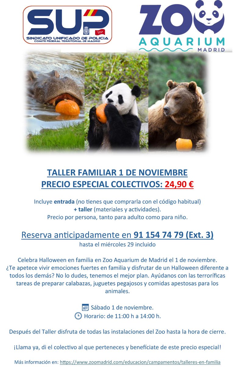 🎃 Este 1️⃣ de Noviembre disfruta de un día especial en el @zoomadrid con tu familia 👨‍👩‍👧‍👧

El #SUPMadrid te ofrece un precio especial de 24,90 € con entrada➕️taller incluido.

¡Vive un #Halloween diferente con tus peques y los animales del #Zoo! 🐼🦛🐻
👉 Reserva ya: 91 154 74 79