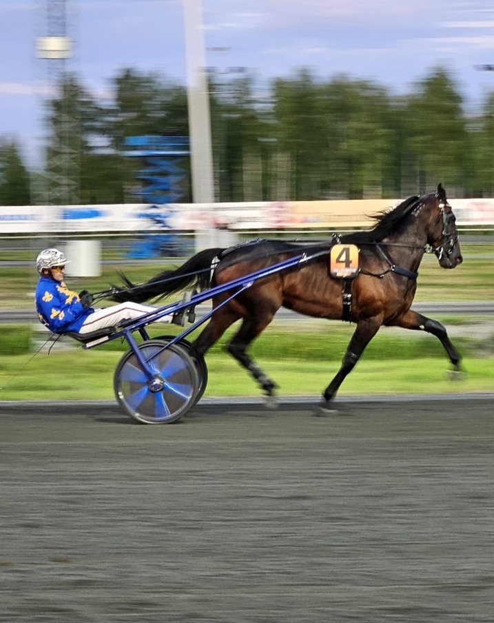 Love these photos my Swedish friend took of The Locomotive ❤️ The videos are amazing pity I can't save them on twitter messages 😔