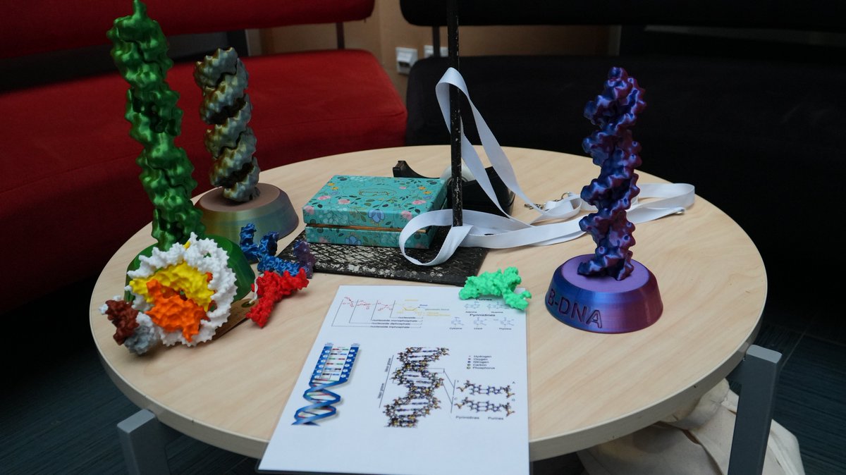 NordicCompBio's tweet image. 🧬 Take a break and get creative! Join DNA keychain workshop with Olga Jasnovidova at #NordicCompBio2025 🎨
Make your own mini DNA model to take home.
Science meets fun!
#NordicCompBio #ComputationalBiology #NCBWeek2025 #ScienceIsFun