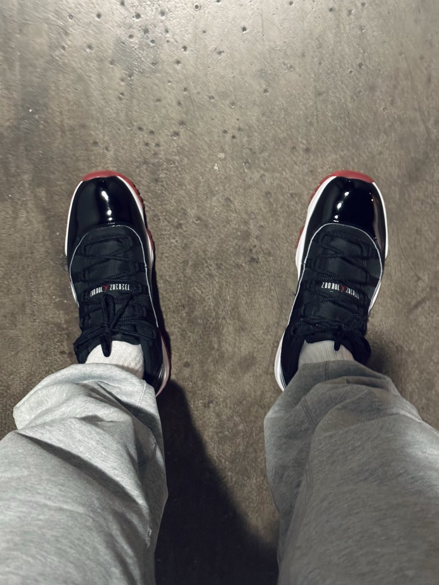 Terry_SH tweet media