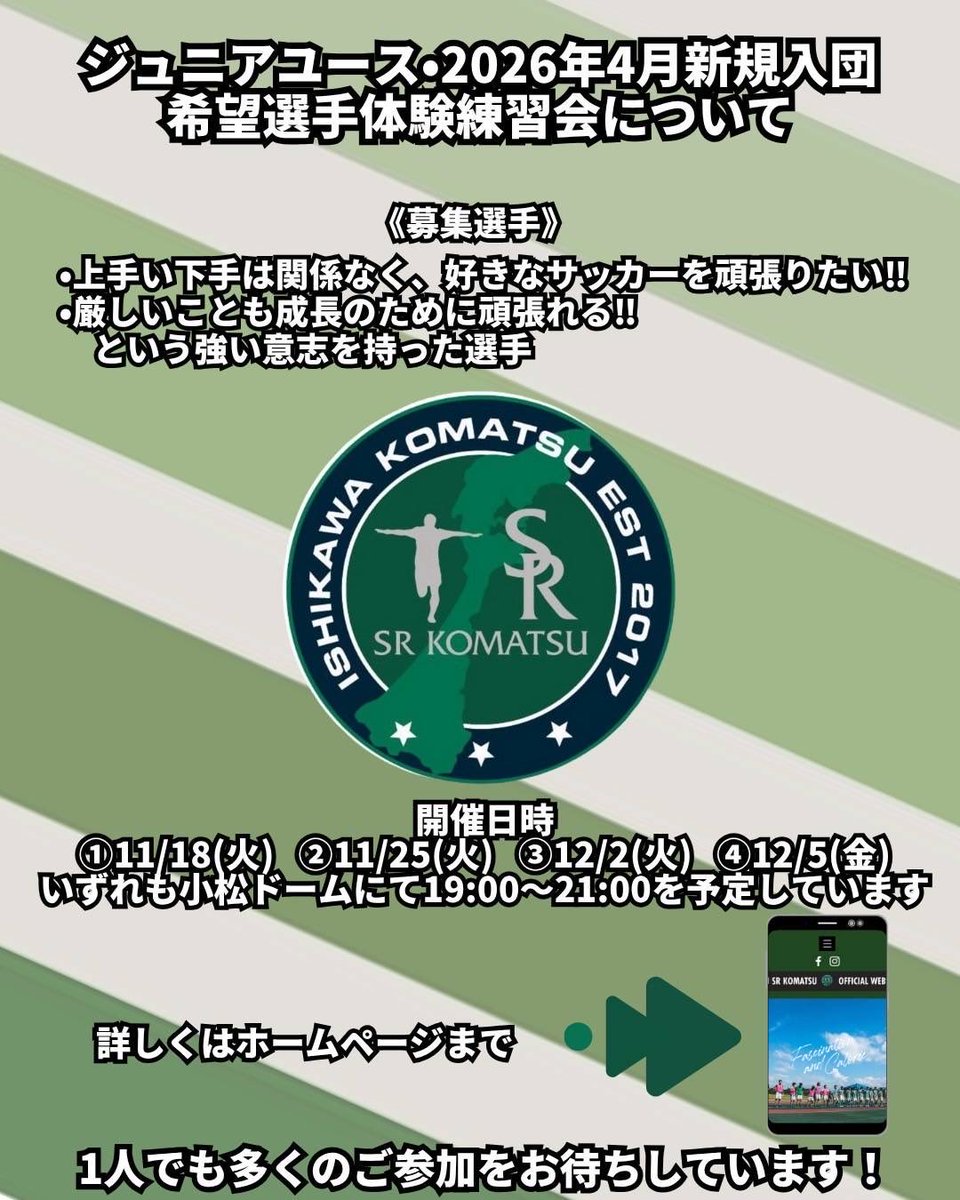 ば*な様 ☘️スペシャルイベント☘️3181 【 原生地採取croaticus ば*な様 ☘️スペシャルイベント☘️3181 【 原生地採取croaticus
