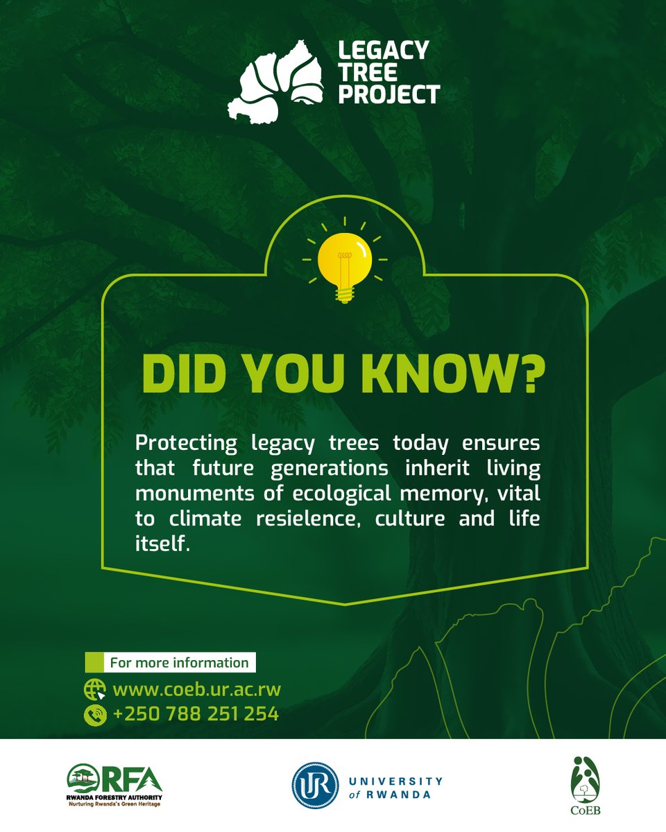 LegacyTreeRw's tweet image. 🌳HAPPY WEEK-END🌳
As we wrap up the week, we reaffirm our commitment:
Protecting legacy trees is protecting our future.
Because every tree saved today shapes the world our children will inherit. 
#LegacyTrees #EnvironmentalStewardship #GreenFuture