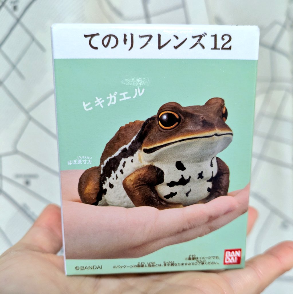 toadholic's tweet photo. ふらっといったスーパーに売ってた😳ヒキガエルきちゃあ💕
#てのりフレンズ12 https://t.co/uKITi072as