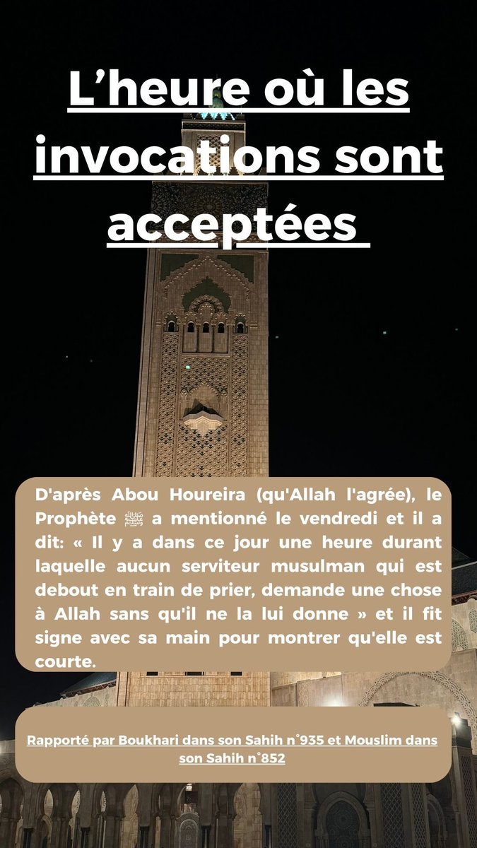 A🇲🇦 tweet media