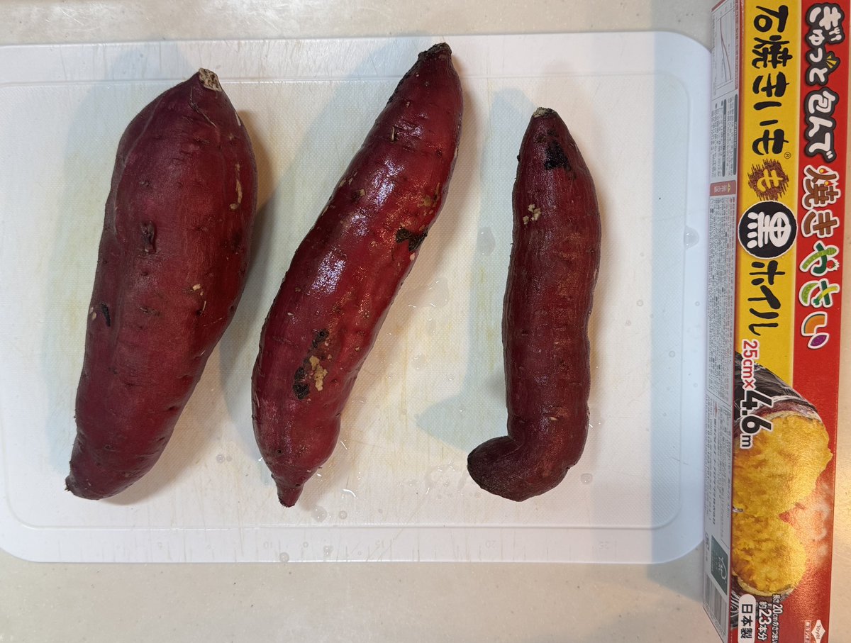 grass(ぐらす)@nezumari_animals on X