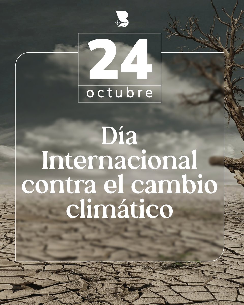 🌍 Hoy, 24 de octubre, se conmemora el Día Internacional contra el Cambio Climático, una fecha para recordar que sus efectos ya están aquí… y que aún estamos a tiempo de actuar.

Zaragoza mejora con el Bosque.