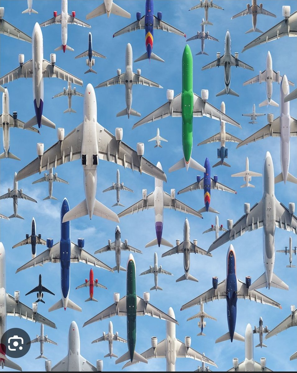 Cow farts are destroying the planet.