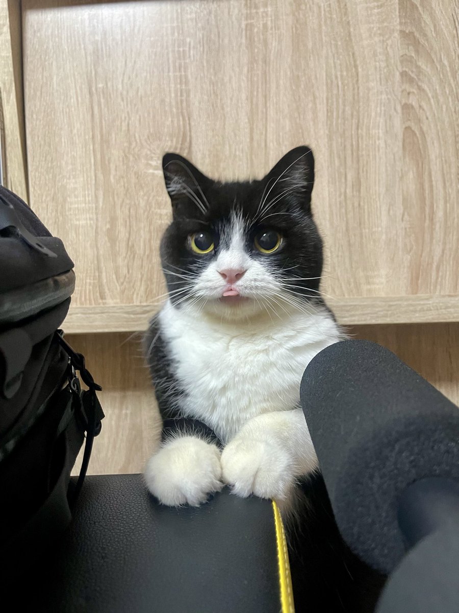 たろう (@taro20216) / Posts / X