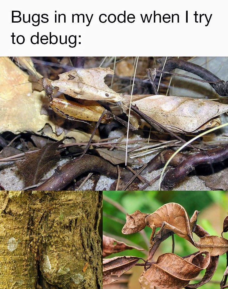 lingodotdev's tweet image. I can’t debug what I can’t see 🥹