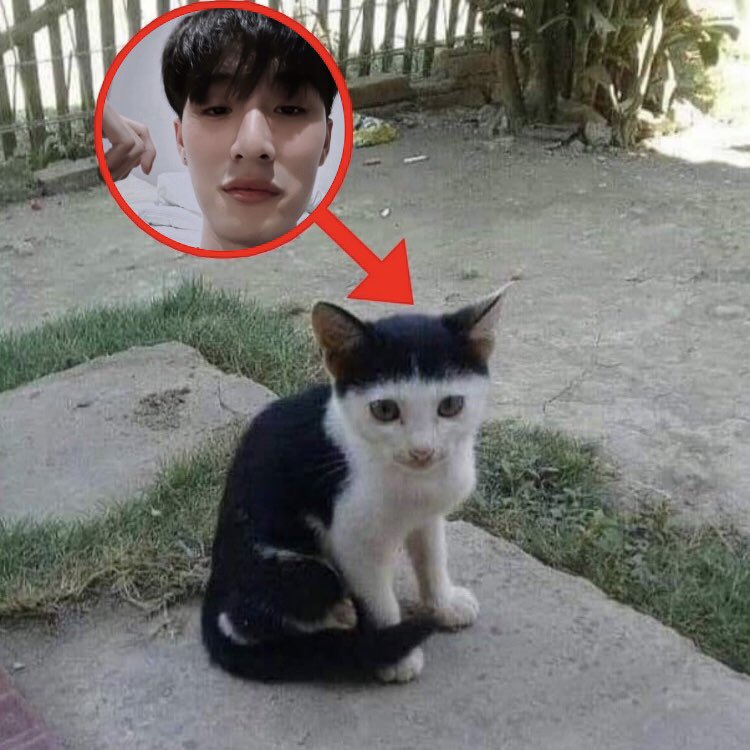 vtp🍞 (@teevithe) on Twitter photo TEE 🥺👉🏻👈🏻 TEE 🥺👉🏻👈🏻