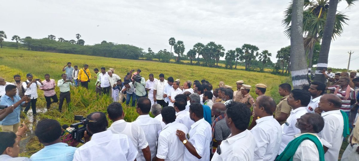 நாகை மாவட்டத்தில் வடகிழக்கு பருவமழையால் பாதிக்கப்பட்ட விவசாய நிலங்களை மாண்புமிகு தமிழ்நாடு வேளாண்மை மற்றும் உழவர் நலத்துறை அமைச்சர் திரு. <a href="/MRKPanneer/">MRK.Panneerselvam-தமிழ்நாட்டை தலைகுனிய விடமாட்டேன்</a> அவர்கள் நேரில் பார்வையிட்டார். உடன் நாகை மாவட்ட கழக செயலாளர் திரு. <a href="/NGowthamandmk/">என்.கெளதமன்</a> அவர்கள் ,அரசு அதிகாரிகள் உடனிருந்தனர்.