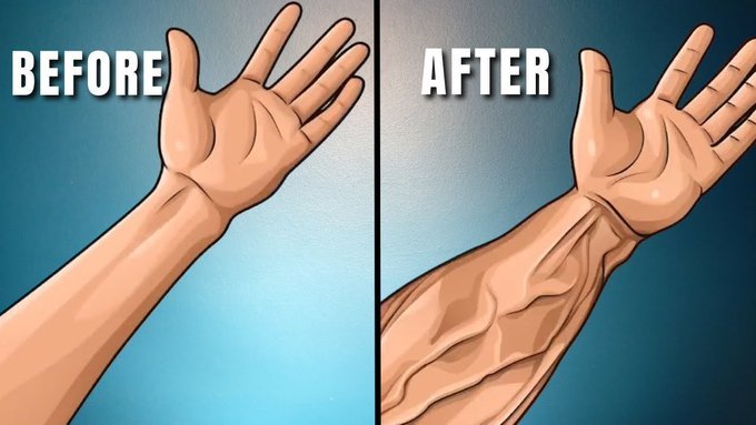 MasculineNotes's tweet photo. 6 Exercises to Increase Forearm Size and Strength: 

 -Thread- https://t.co/A5NnBkzxGE