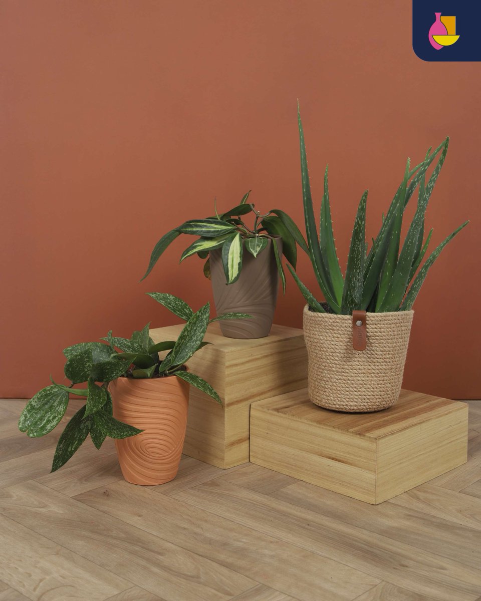 Desert Wave Window Sale! Two 12cm terracotta pots in red &amp; grey with subtle relief, plus Roppy plant baskets with liner &amp; “Enjoy” label, available in different sizes. Cozy, earthy &amp; limited stock – once gone, gone! #DesertWave #WindowSale #BunnikCreations