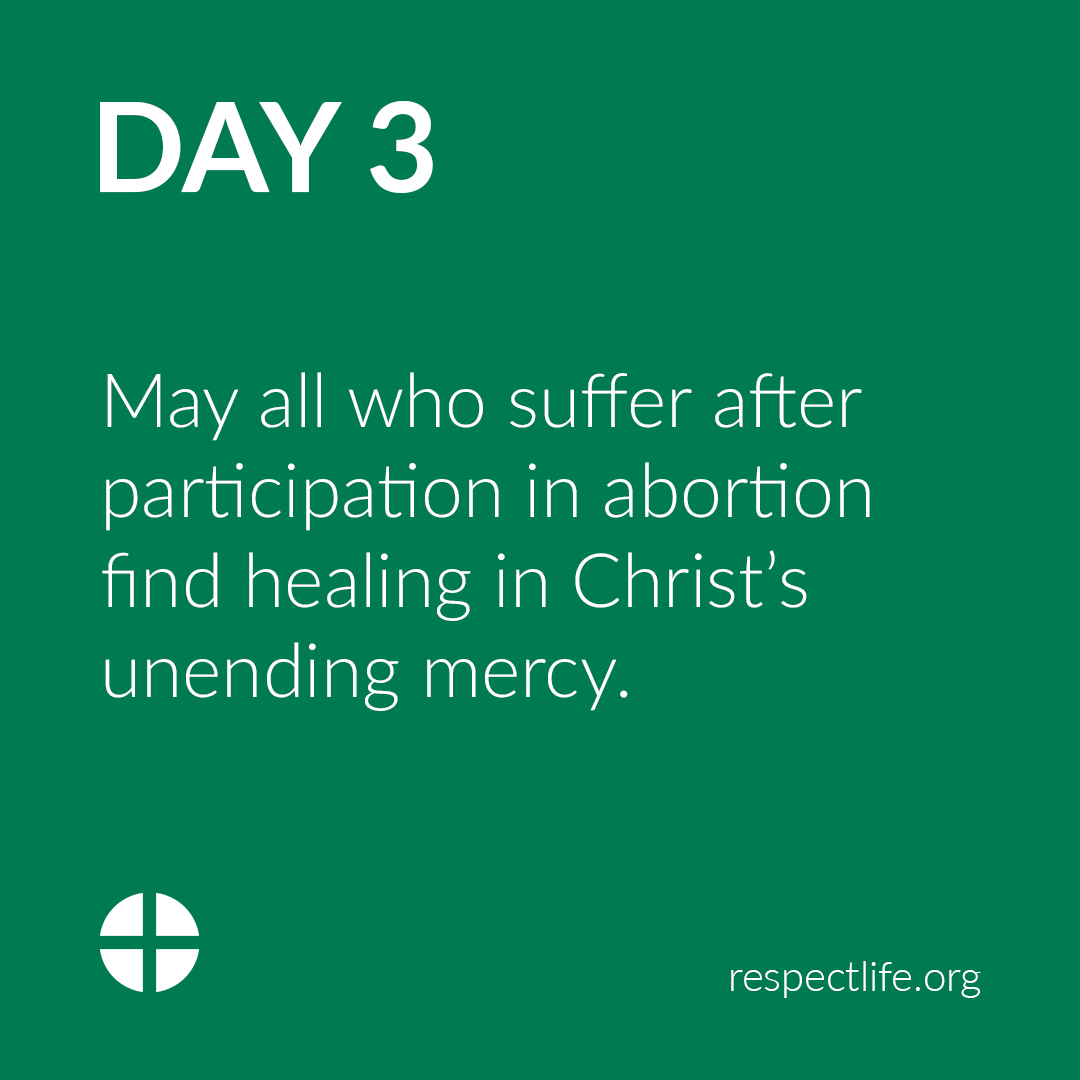 U.S. Conference of Catholic Bishops tweet media