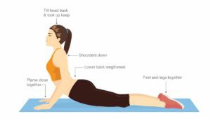 adrianafitnall's tweet image. Back Pain: Cobras stretch the entire spinal region and loosen up the muscles that surround the vertebral column, providing relief from tension and pain in the back.
Cobra Exercise: Benefits, Mistakes, Form ➡️ lttr.ai/AkFI0
#BackPainExercise #BackExercise