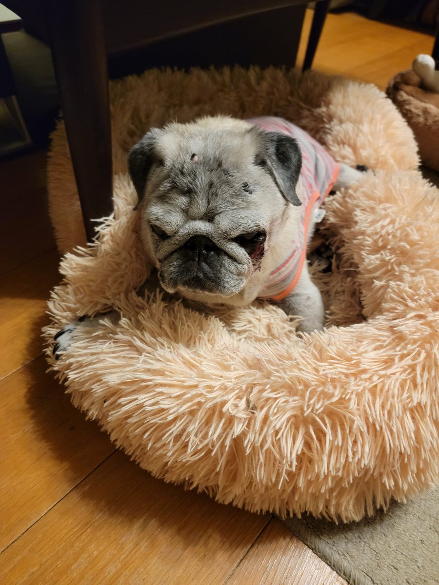 ばこちゃん on X