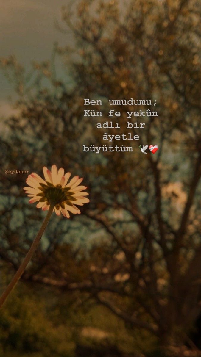 CeyLan (@cylnefin) on Twitter photo 