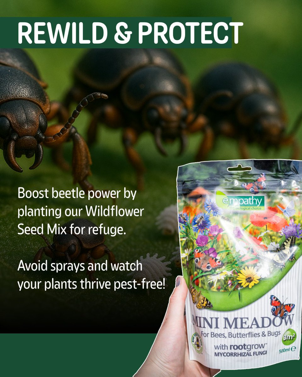 Crush mealybugs the eco-way! 🐞
thenaturalgardener.co.uk/pest-weed-cont…