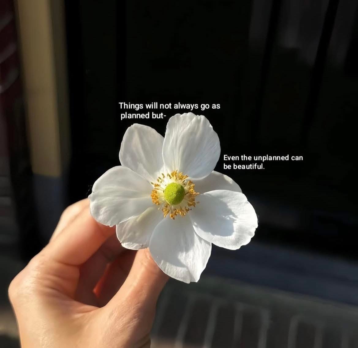 Jummah Mubarak🤍💫