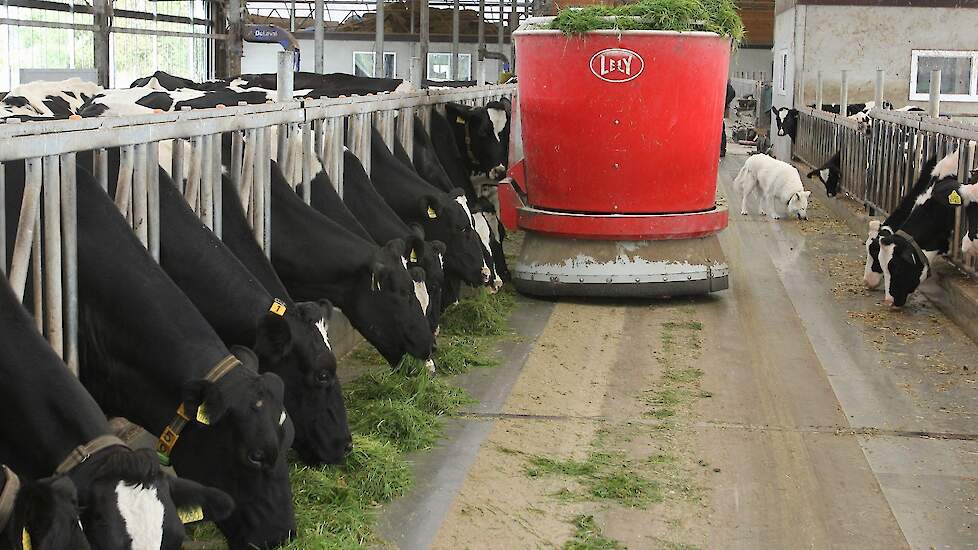 MelkveeTweet's tweet image. Een voerrobot kopen? Of je nu kiest voor eigen middelen, lease of bankfinanciering: de persoonlijke én strategische overwegingen zijn minstens zo belangrijk als de cijfers. melkvee.nl/artikel/138397… #melkvee #automatisering