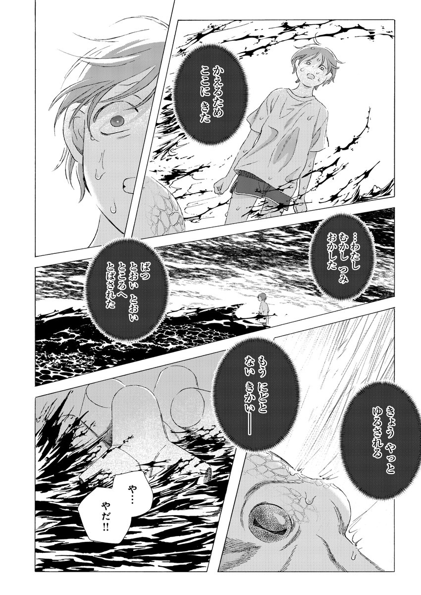 タコと私の話(8/11) 