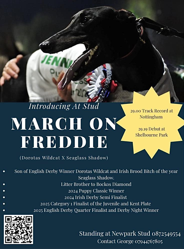 Romford Stadium tweet media