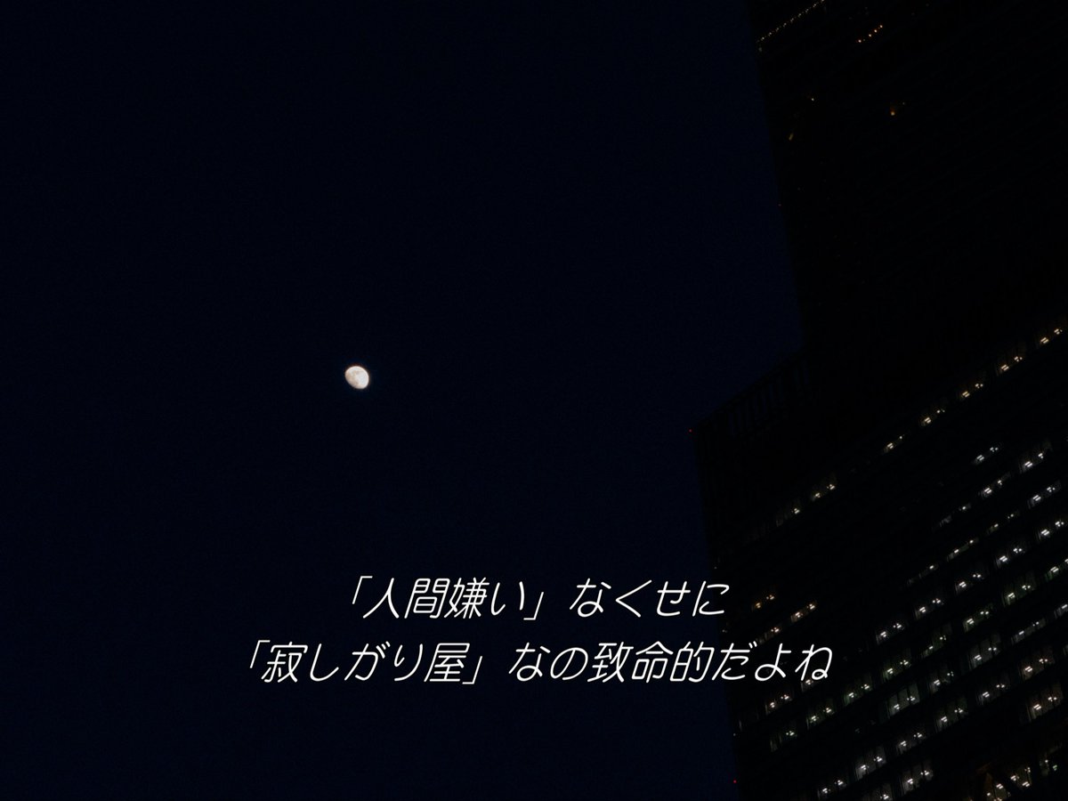 Payao/詩人 tweet media