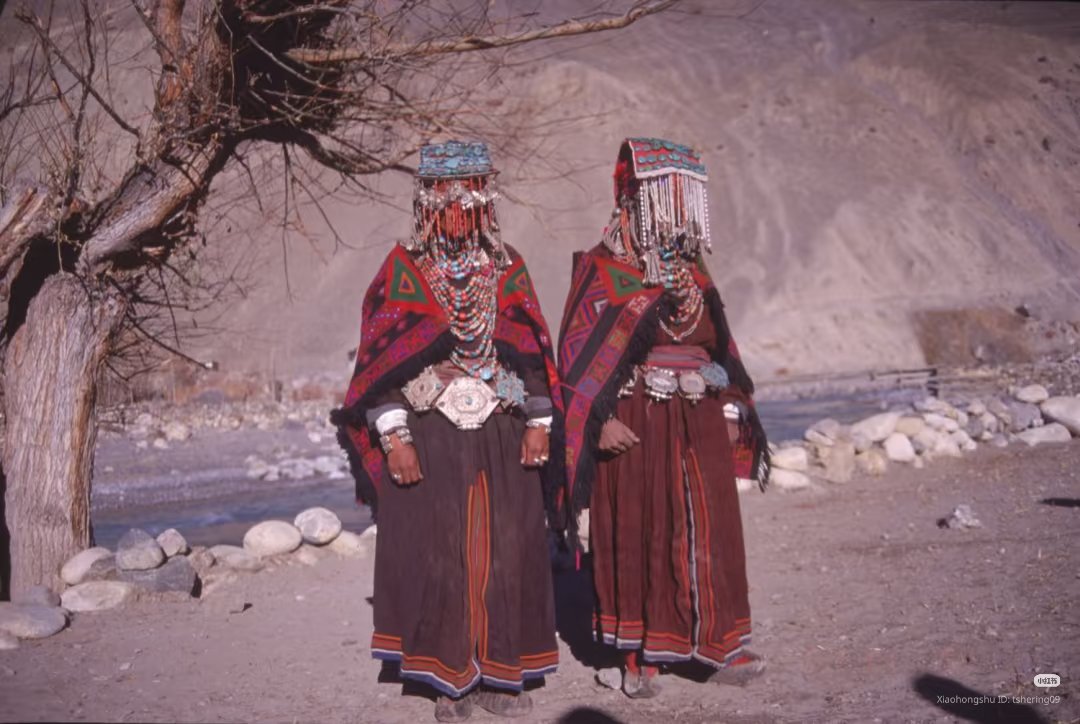 HHWDispatches's tweet image. 