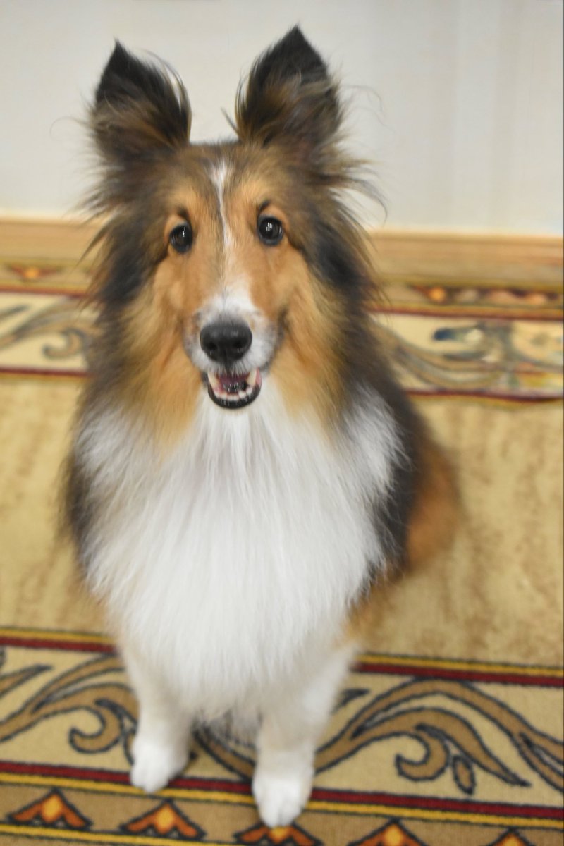 ランママ🇺🇦 on X