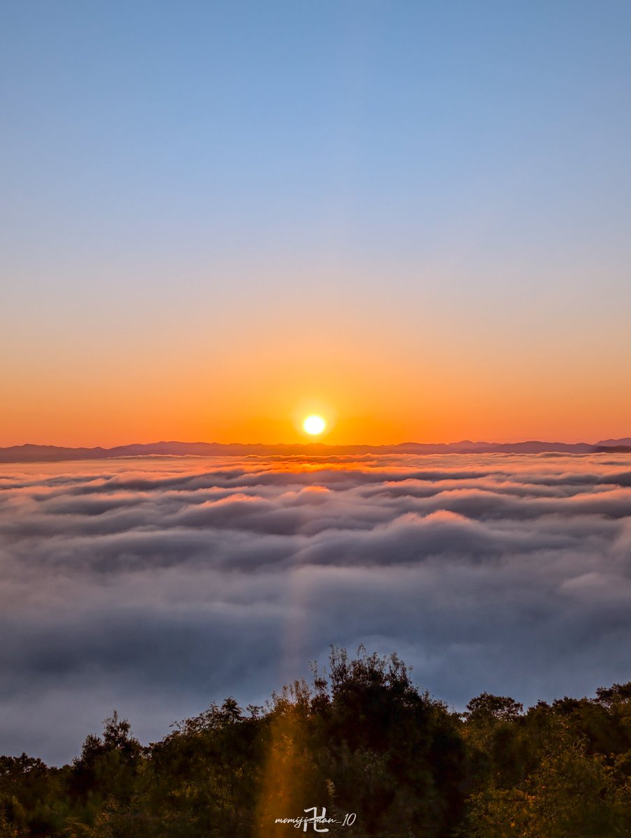 momiji_man_10's tweet image. モリモリの雲海から昇る朝日  

#GooglePixel