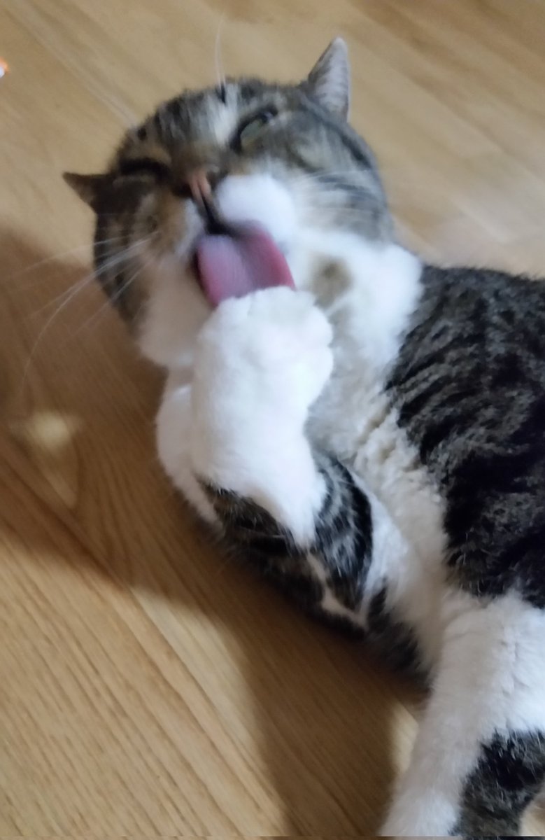 はるるんページ はるるん on X