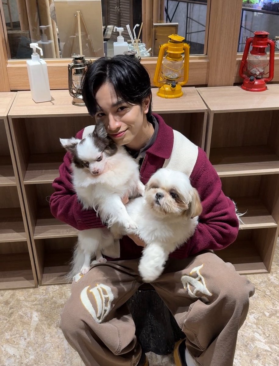 菜っぱ (@7na8ppa) / Posts / X