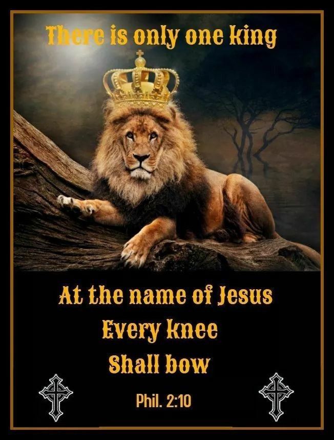 Heavenly Father,

As we greet this October 24, 2025—a day laced with election echoes, world whispers of unrest, and our own quiet battles—anchor us in Philippians 2:10: "That at the name of Jesus every knee should bow, of those in heaven, and of those on earth, and of those under