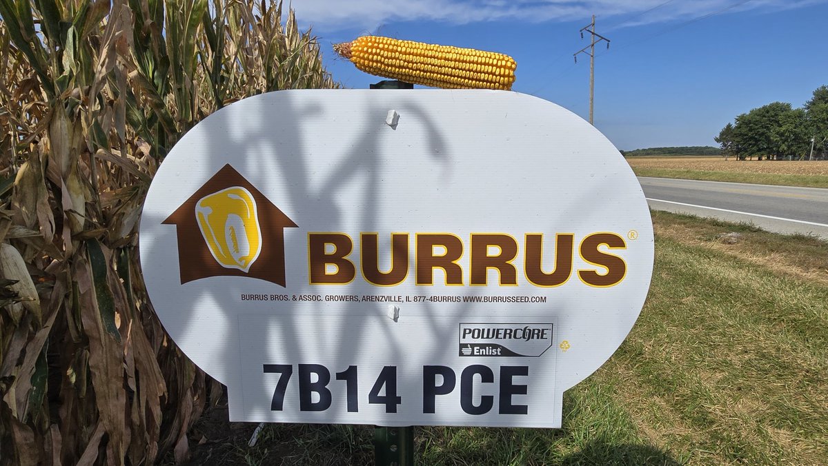 Burrus 7B14 PCE  makes 279 bu/a to win against 25 competitors in western Illinois.
#Thinkburrus