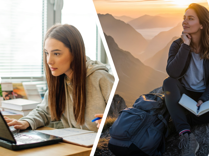 NightsBridge tweet media