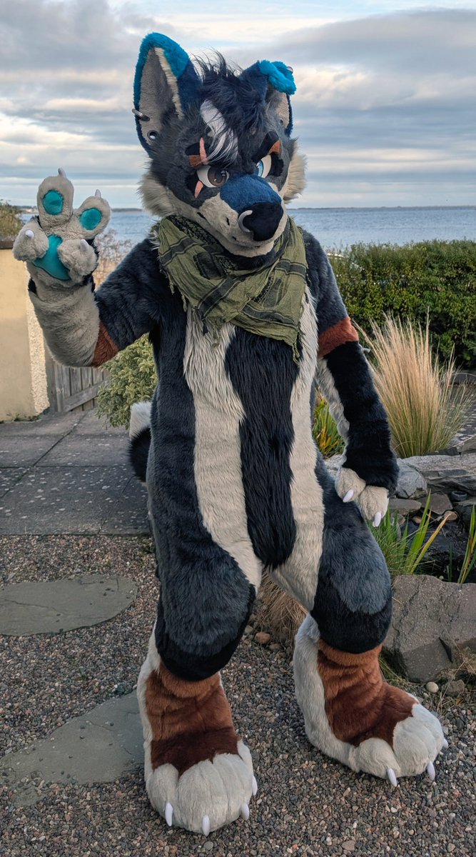 CassiusRed's tweet image. Happy #FursuitFriday it's that time of year where I experiment and build Nico a new head (yes that makes 3, I could be a Cerberus if I wanted to haha)