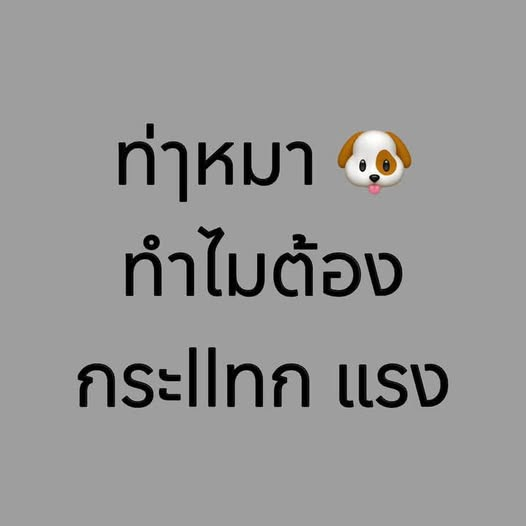 นั้นสินะ