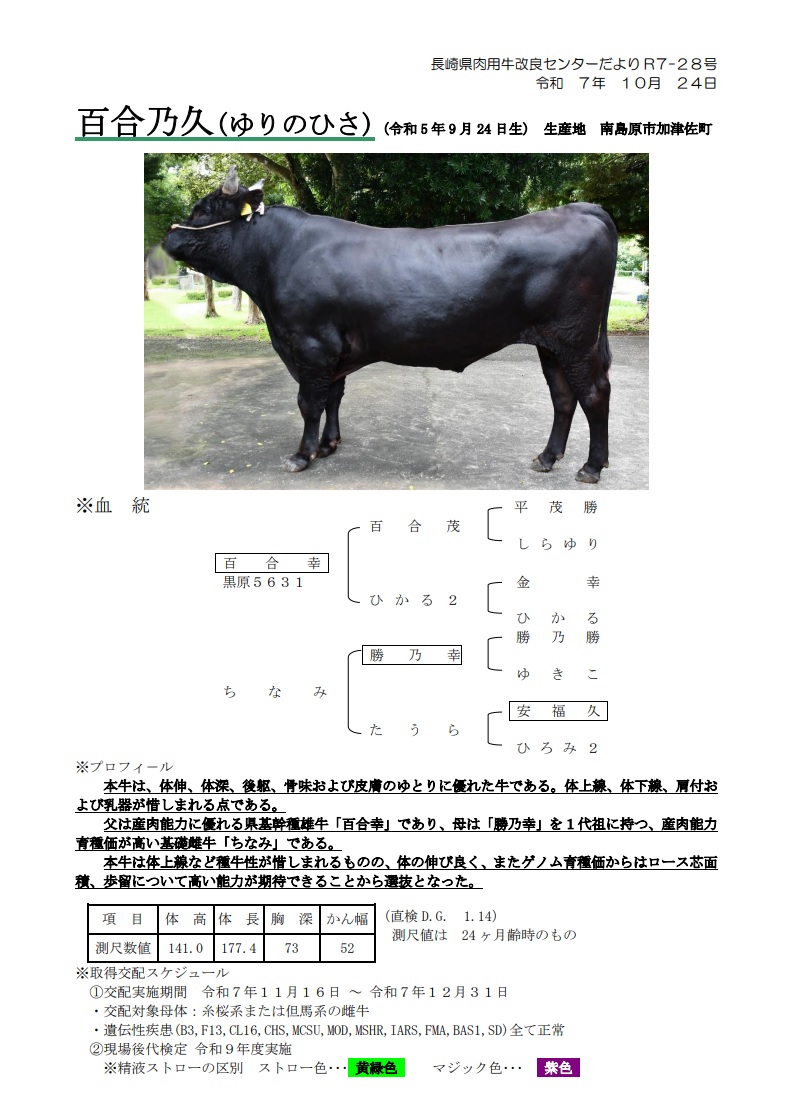 荼毘 ヨドバシ 35個 Amazon | 壽屋(KOTOBUKIYA) 僕のヒーロー