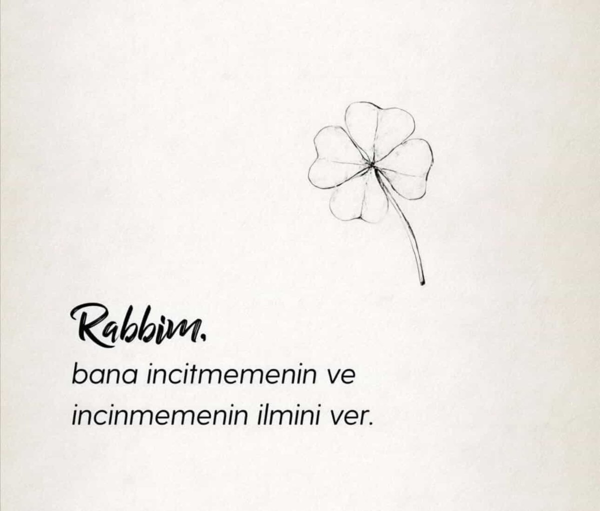 Günaydın,
Hayırlı Sabahlar,
Hayırlı Cumalar.