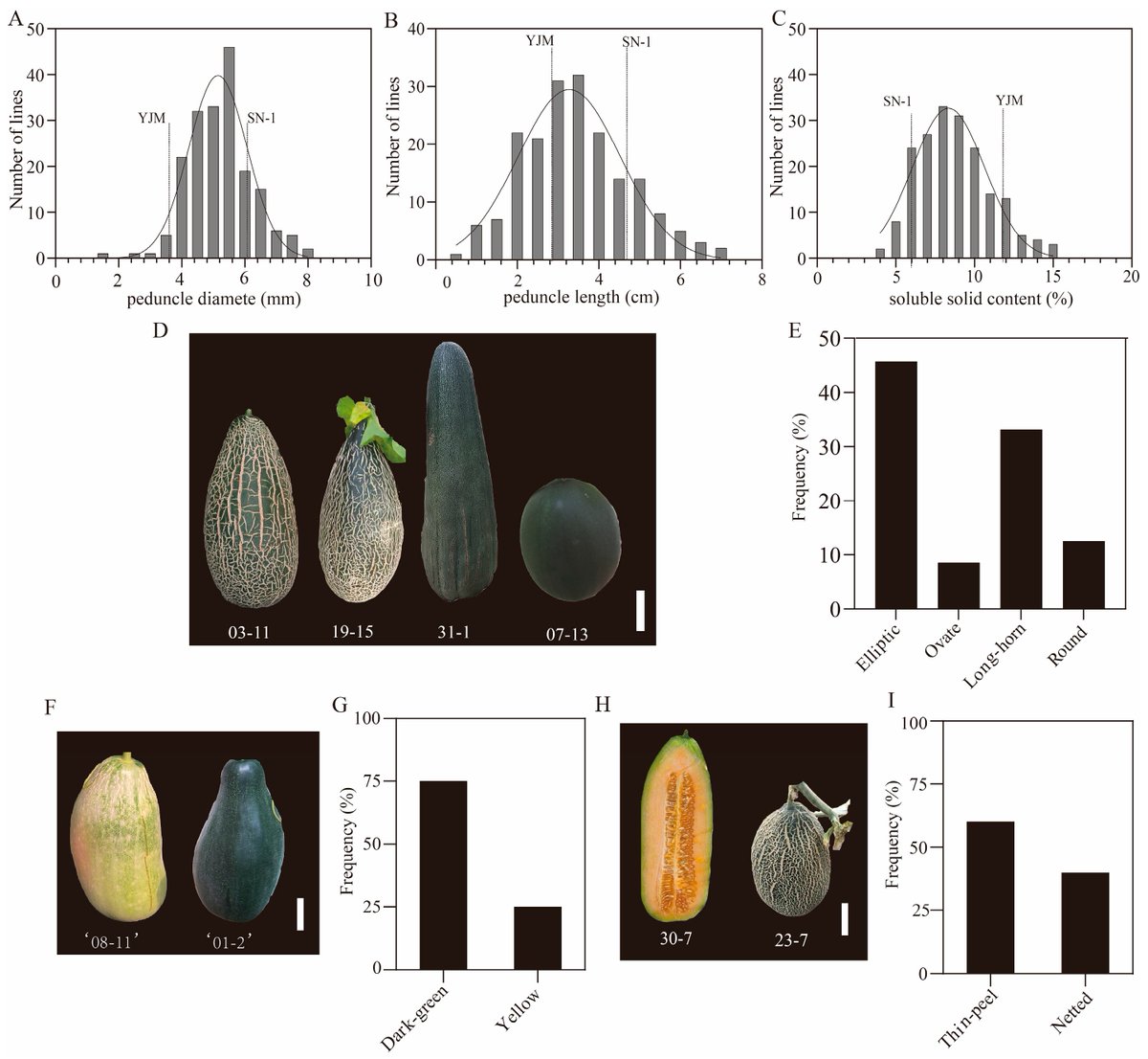 Horticulturae MDPI (@horticul_mdpi) on Twitter photo Horticulturae - New Published Paper🍀
📖Title: Construction and Phenotypic Characterization of a Recombination Inbred Line (RIL) Population from a Melo-agrestis Melon Hybrid.
✍️Paper written by: He Liu et al.
🔗Link: mdpi.com/2311-7524/11/9…
#MDPI #horticulture #science Horticulturae - New Published Paper🍀
📖Title: Construction and Phenotypic Characterization of a Recombination Inbred Line (RIL) Population from a Melo-agrestis Melon Hybrid.
✍️Paper written by: He Liu et al.
🔗Link: mdpi.com/2311-7524/11/9…
#MDPI #horticulture #science