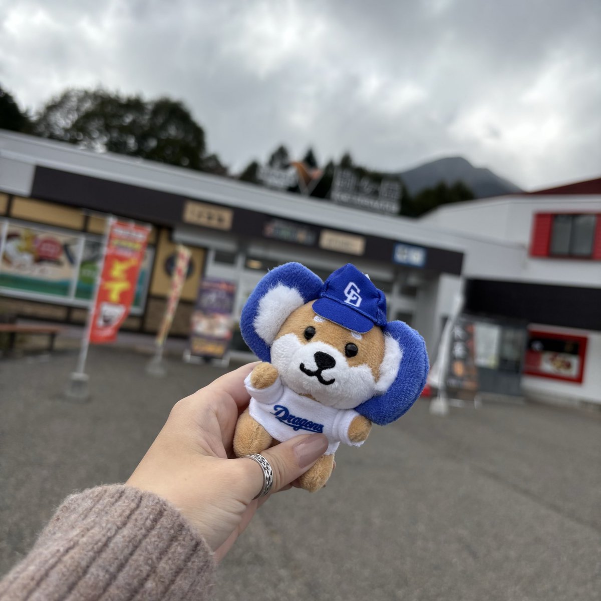 専用　文字マスコット TOYOTA RACING DEVELOPMENT Stripe Spinner Key Chain