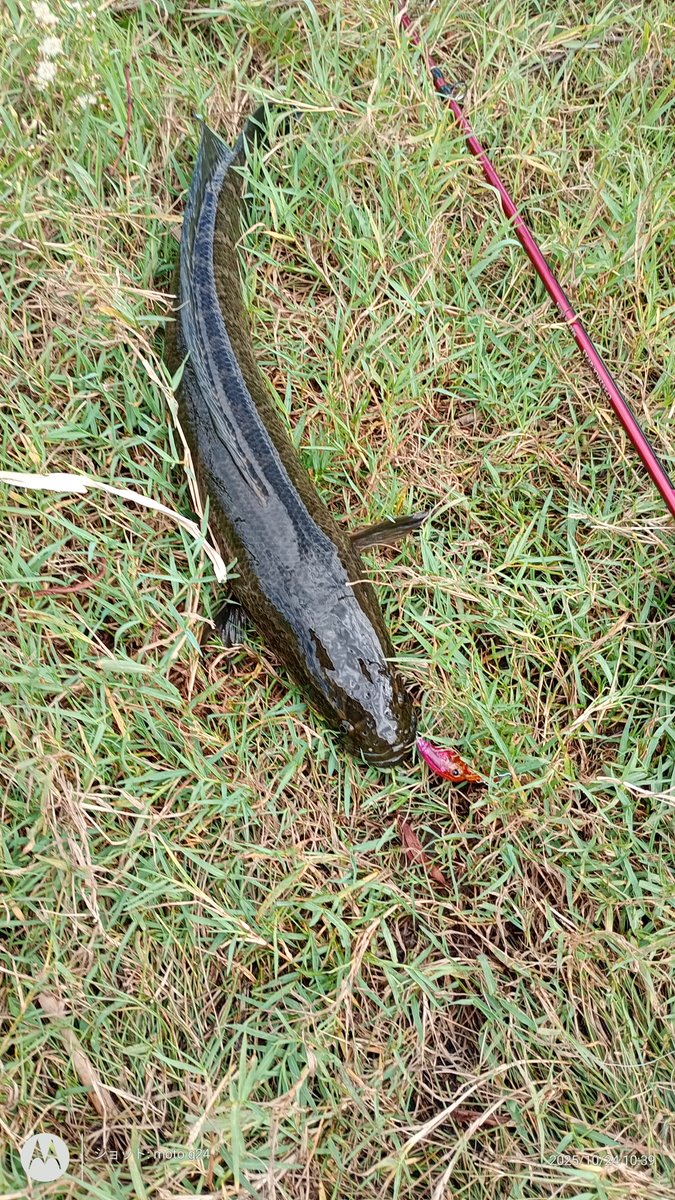 omramのきまぐれ日記 on X